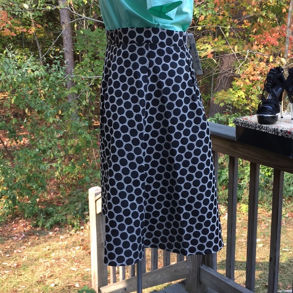 Lined/ pleated polka dot pinup skirt size 3X - Picture 6 of 9